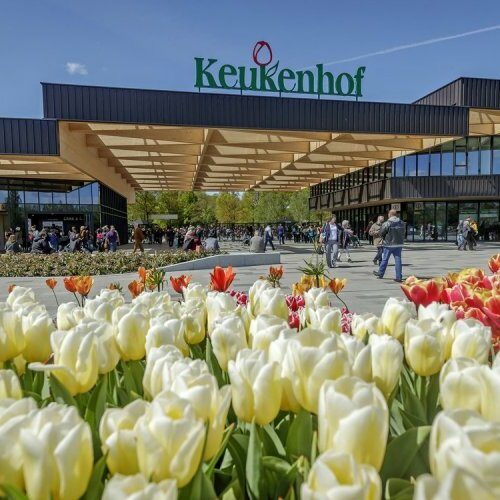 Keukenhof