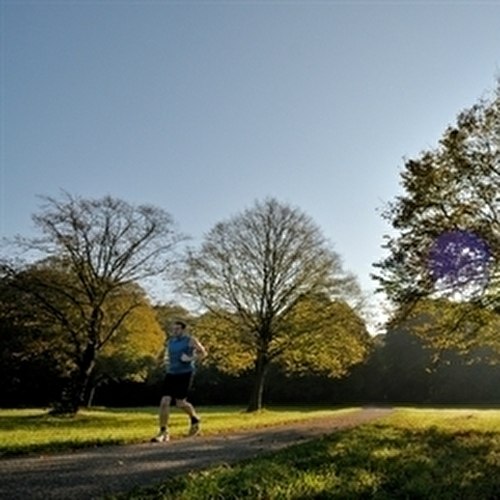 Exercise in the forest